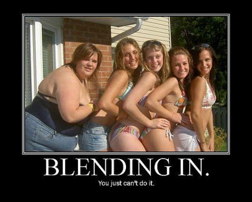 Blending In.jpg (40 KB)